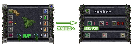 繁殖画面