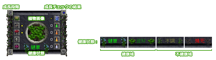 健康状態