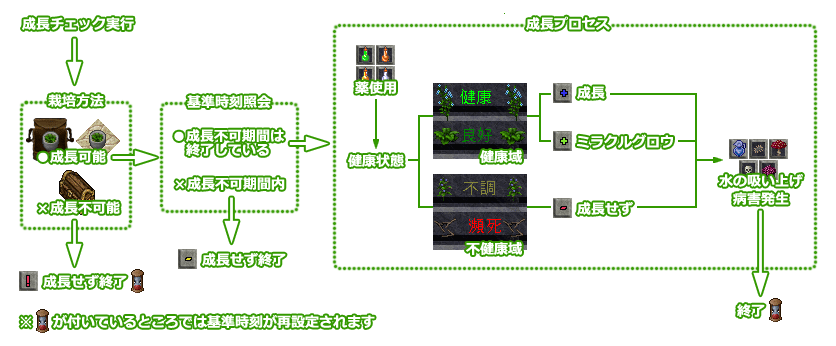 成長チェックのプロセス