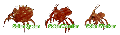 Solen