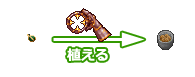 種子を植える