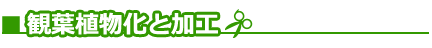 ■観葉植物化と加工