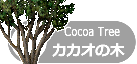ココアの木
